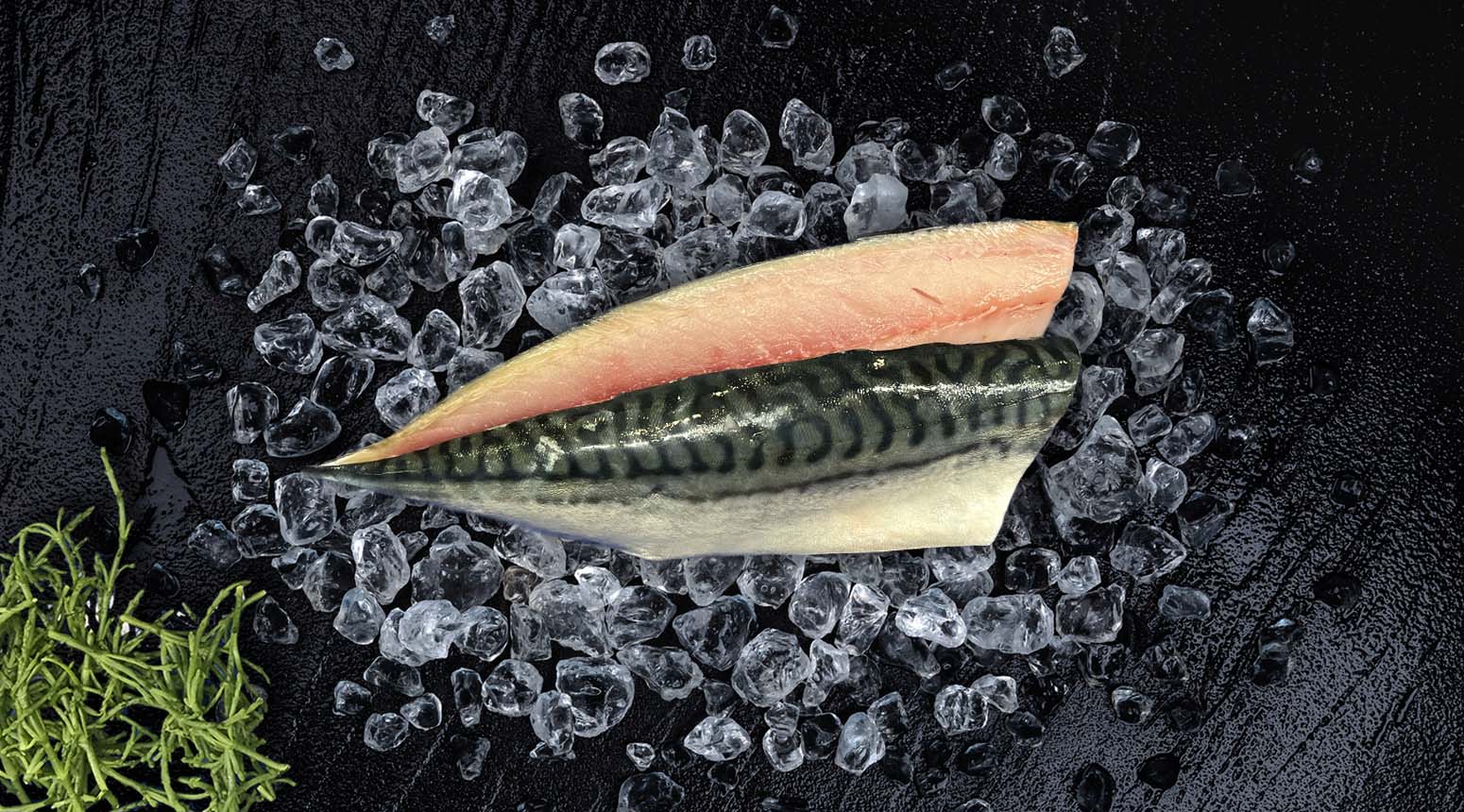 Makreel 400-600gr gefileerd