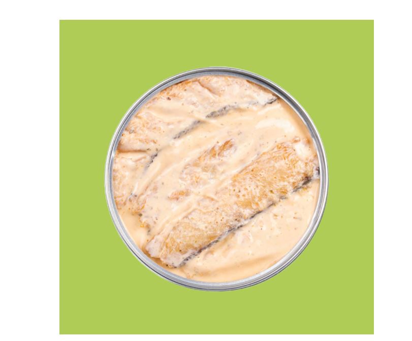 Zonnevis in muntsaus