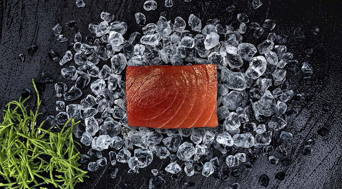sashimihaasje tonijn